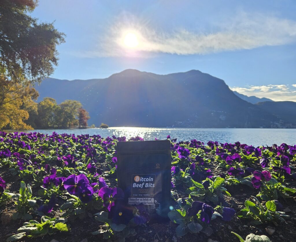 Genesis Edition Bitcoin Beef Bits bag outdoors showing hash-dried beef snack made with Bitcoin miner heat.